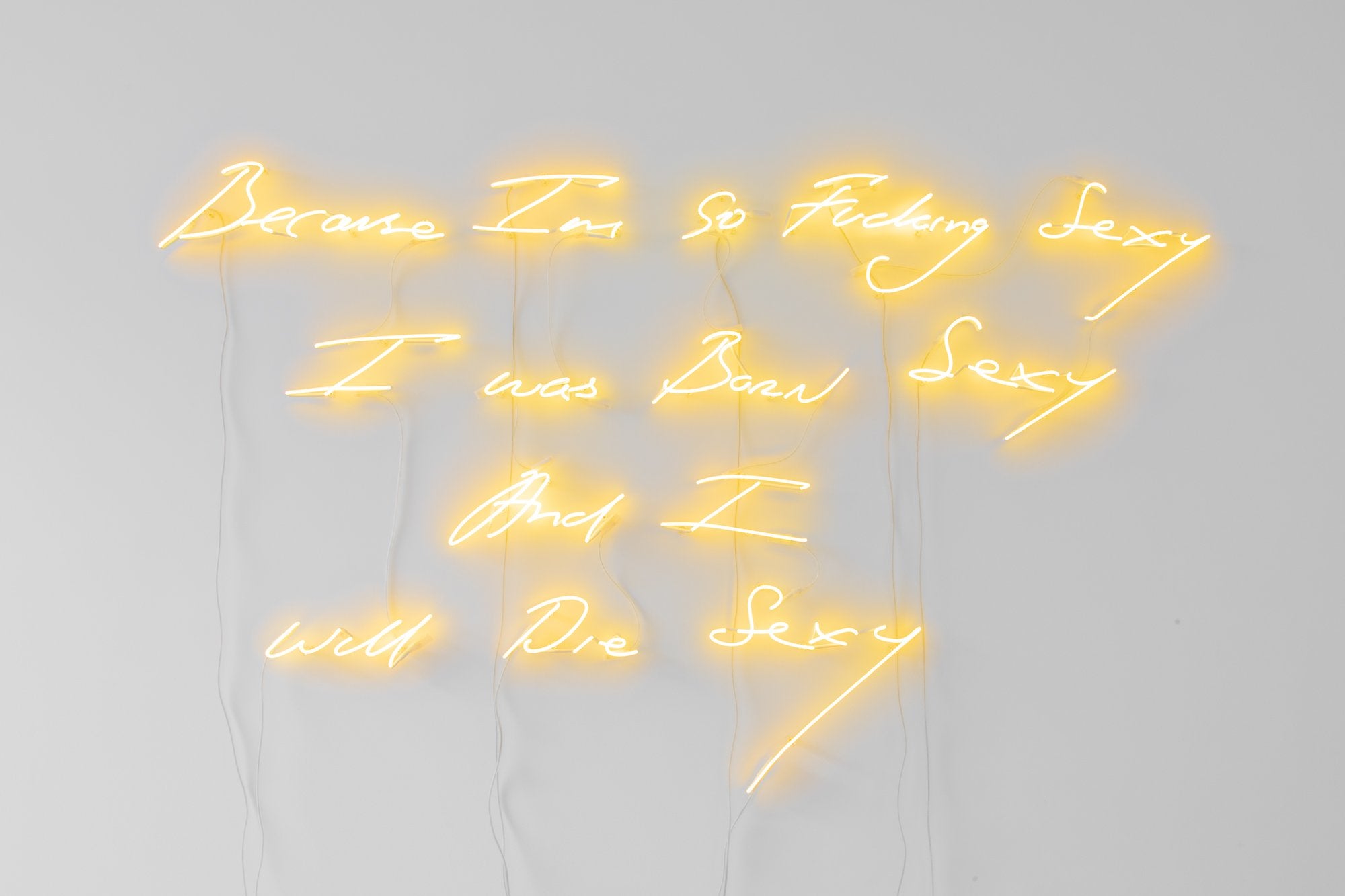 Because Im So Fucking Sexy, I was Born Sexy, And I Will Die Sexy, 2022