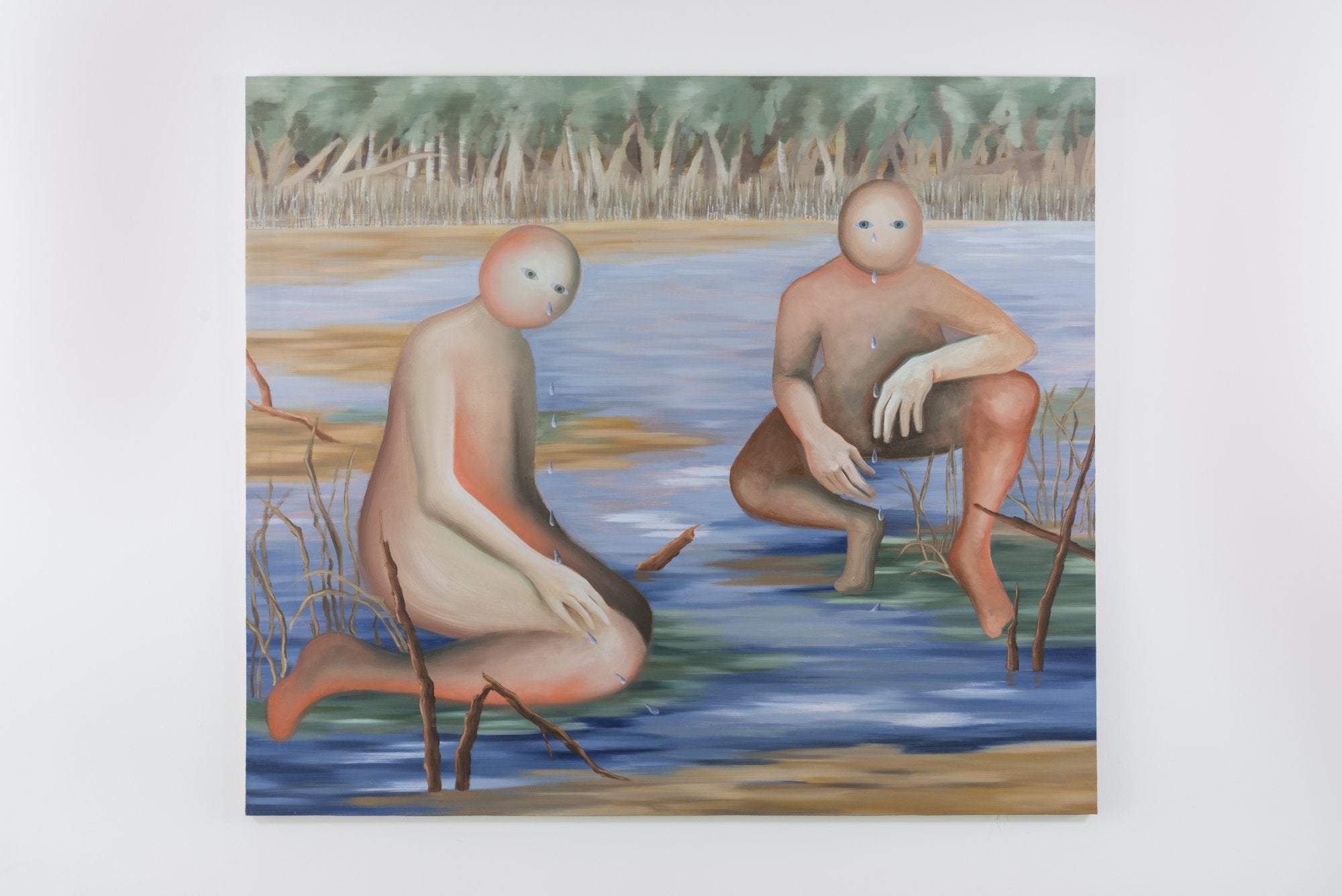 Swamp Complementing, 2024