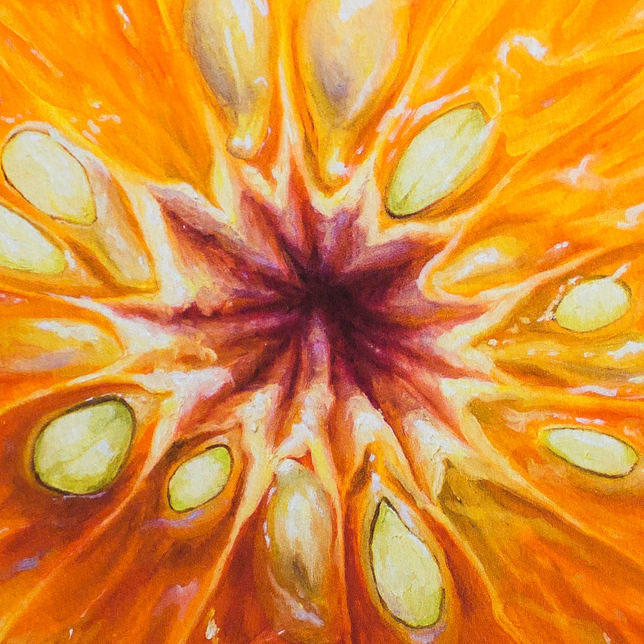 Fruit Portrait Triptych, edition of 85