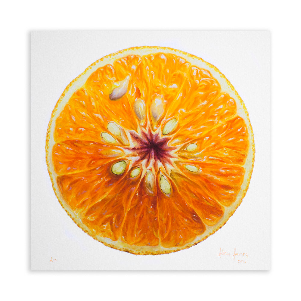 Fruit Portrait Triptych, edition of 85