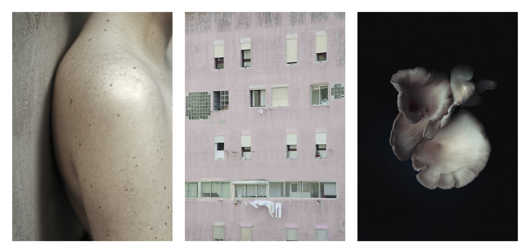 Certain Shapes (triptych), edition of 5